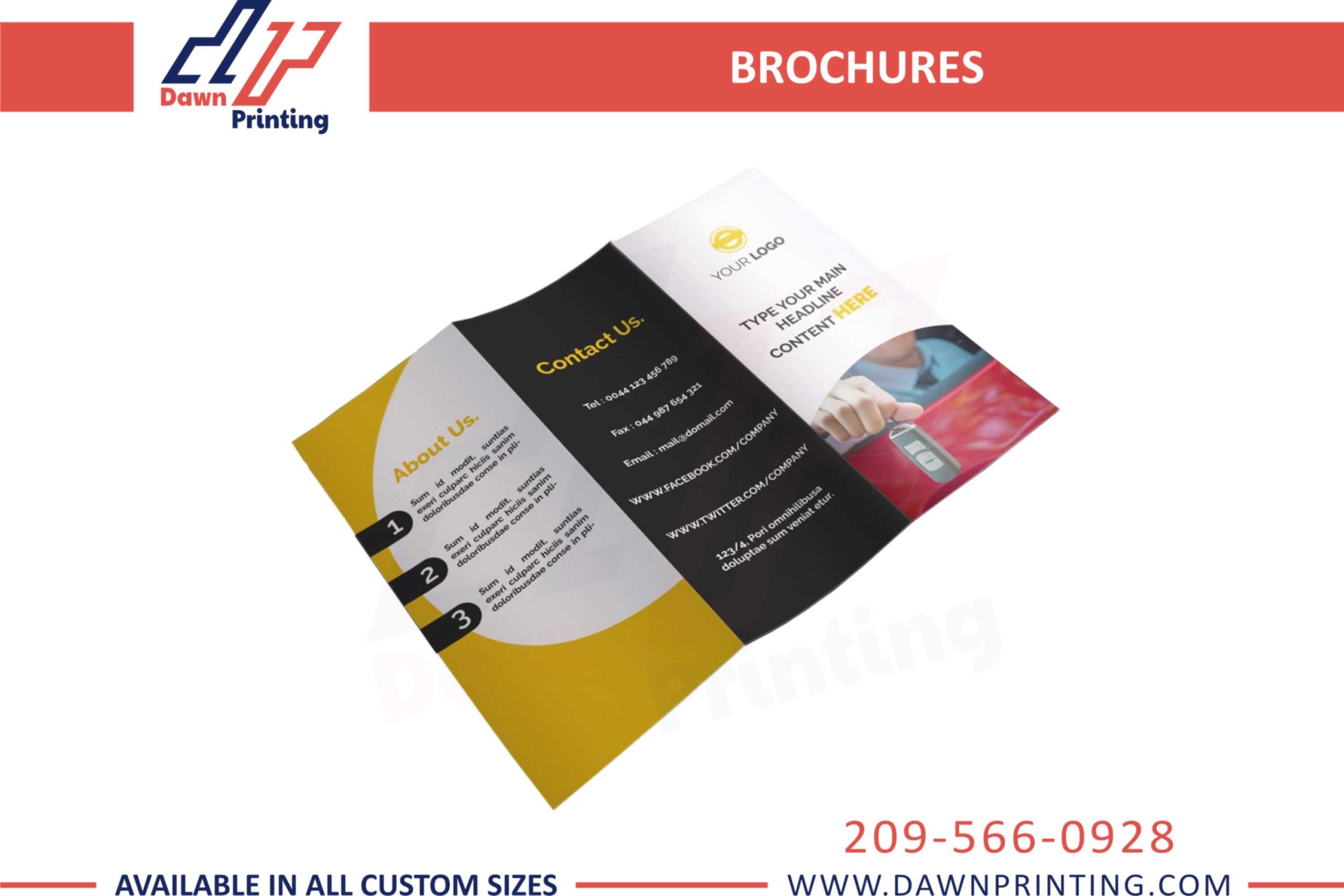 Professional Services Brochures - Dawn Printting