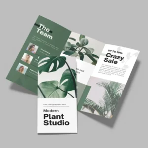 Brochures Printing